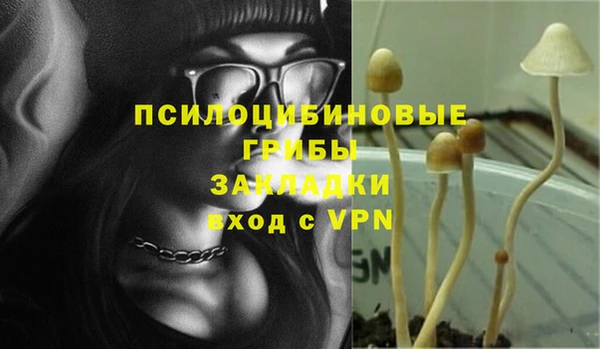 метадон Гусев
