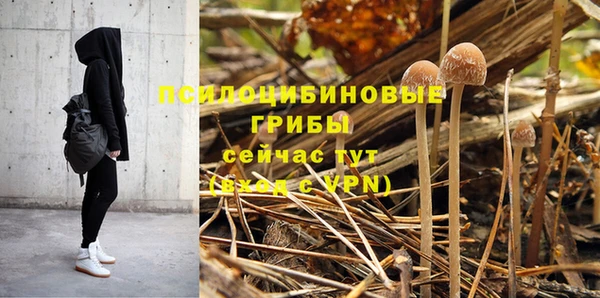 метадон Гусев