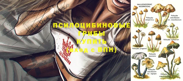 МДПВ Гусиноозёрск