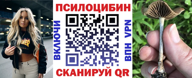 продажа наркотиков  Плавск  Псилоцибиновые грибы Magic Shrooms 