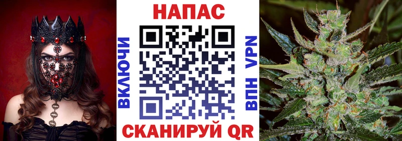 Каннабис OG Kush Плавск